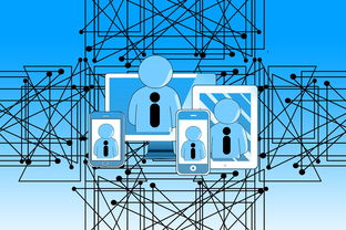 九游体育官网-高校运动康复训练技术及应用研究,运动康复开设院校排名